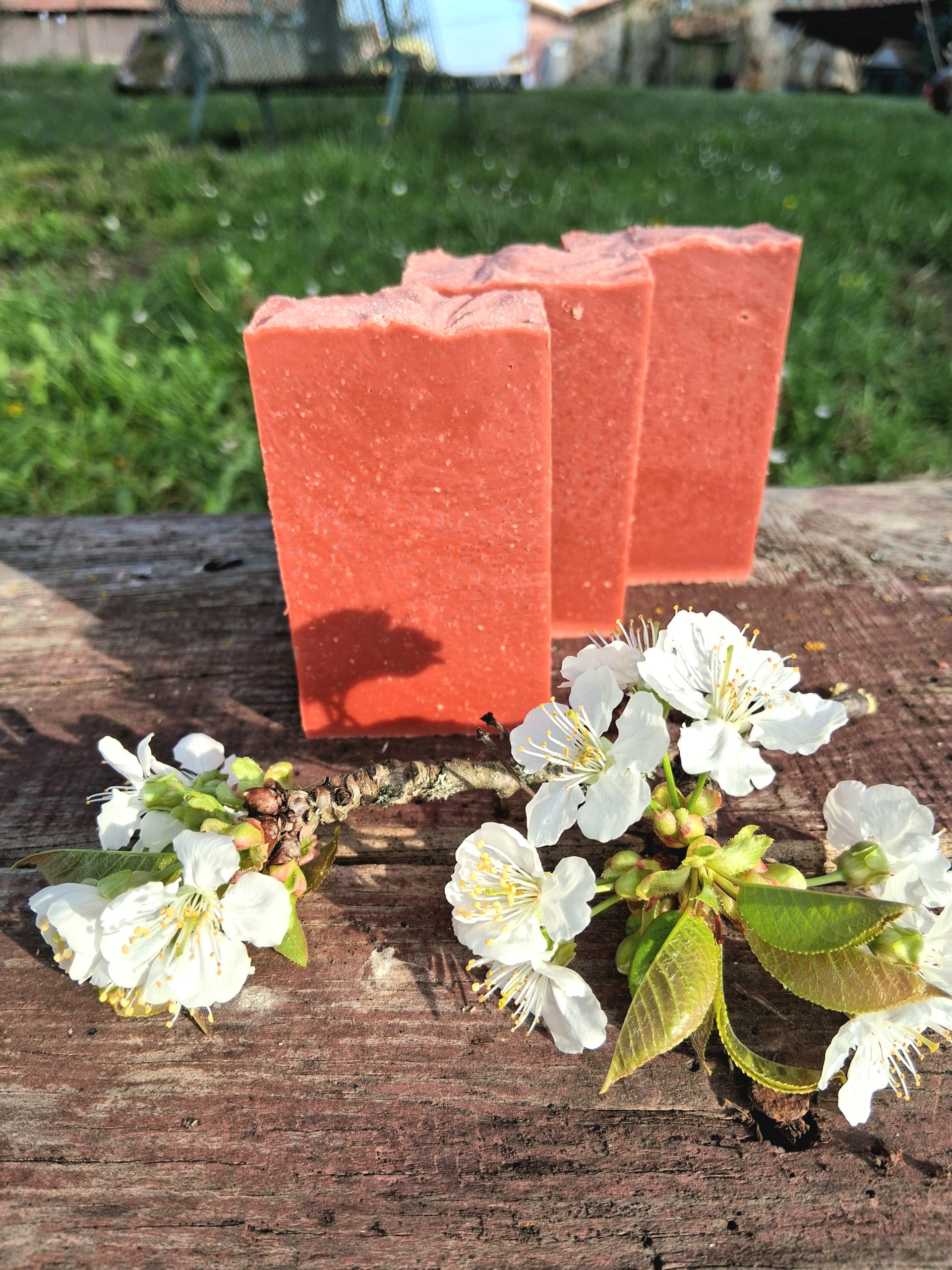 Grand Bersuyre - savon précieux au vin Fleur de Cerisier